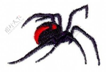 绣花动物昆虫蜘蛛色彩免费素材