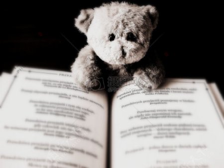 书旁边的小熊