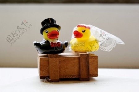 可爱幸福的黄鸭夫妇