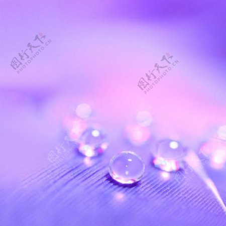 紫色浪漫水珠背景