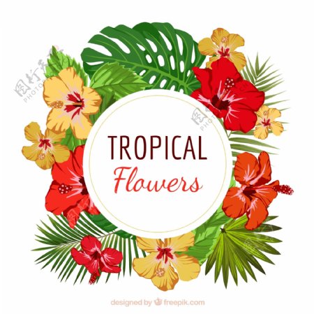 热带的花朵花环素材背景
