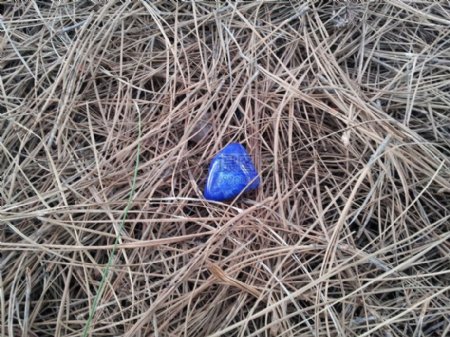 草堆里的蓝宝石