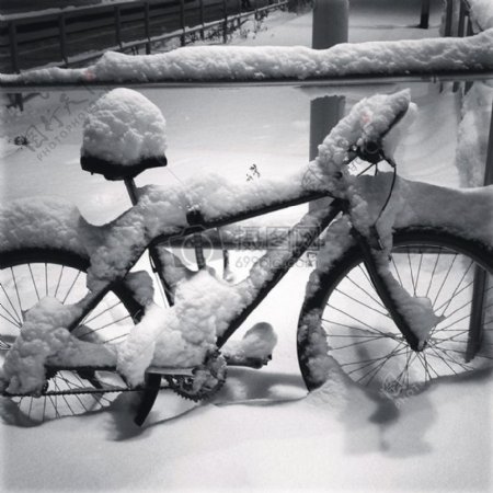 雪中覆盖的自行车