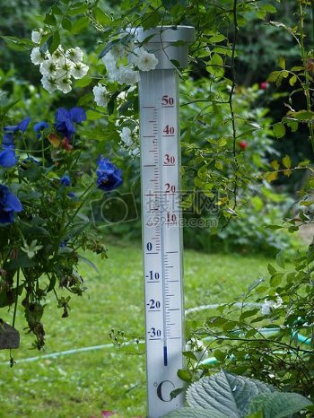 花园里的温度计