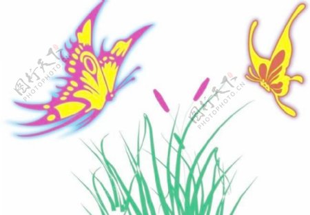 小草和蝴蝶