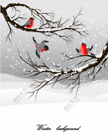冬季鸟插画矢量素材
