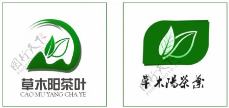 草木阳茶叶logo