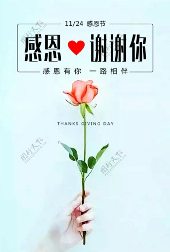 感恩节玫瑰文艺范海报