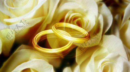 浪漫玫瑰情侣结婚戒指