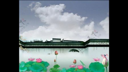 中国风建筑荷花水墨背景大屏视频素材