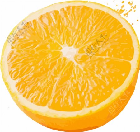 橙子手绘插画水果素材
