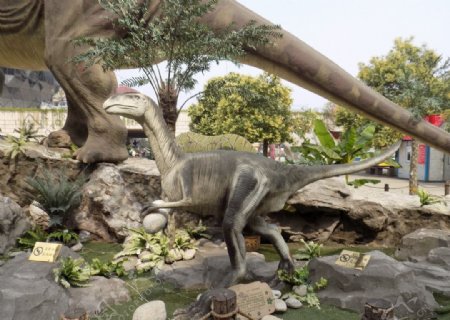 抱恐龙蛋的恐龙
