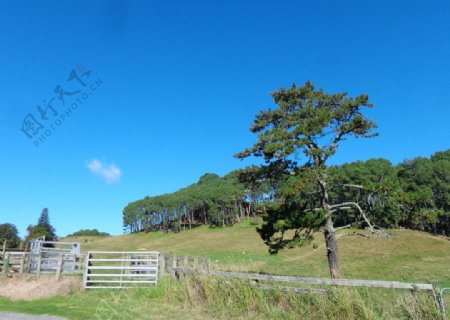 新西兰自然风光