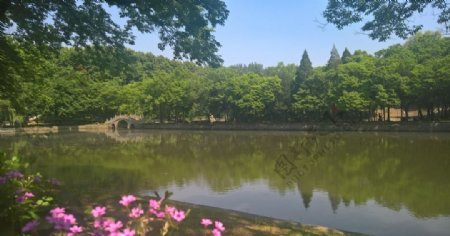 南京理工大学校园内的景观道湖畔