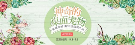绿色小清新插画植物盆栽的桌面宠物电商海报banner