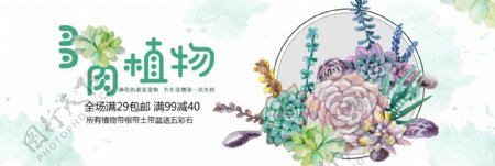 绿色手绘水彩多肉植物淘宝天猫包邮促销海报banner