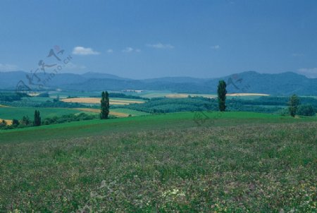 绿色田园风景