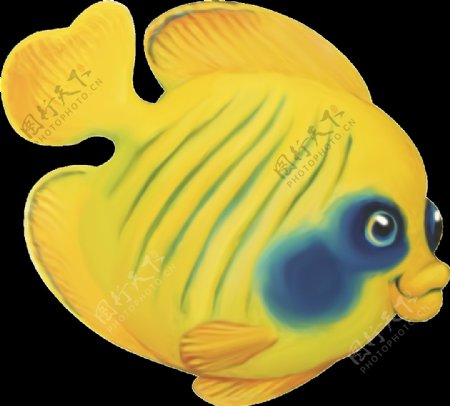 手绘可爱热带鱼png透明素材