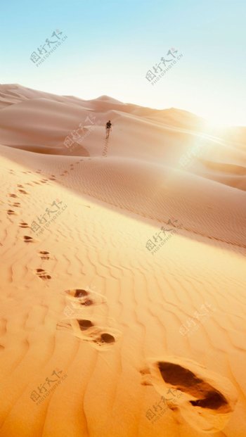 沙漠阳光H5背景素材