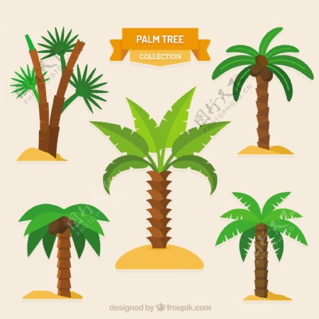 平面设计中的几棵棕榈树