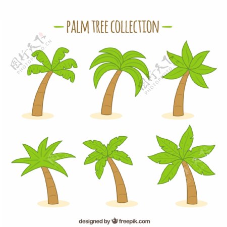 一包手棕榈树
