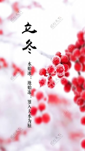 红色腊梅冬季H5背景素材