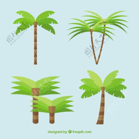 热带棕榈树设计合集