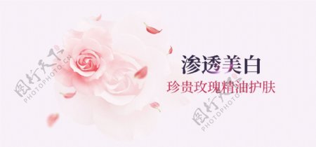 粉色玫瑰化妆品海报