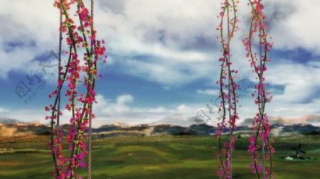 唯美草原植物3D视频素材