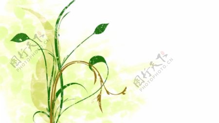 绿色花藤生长背景视频素材