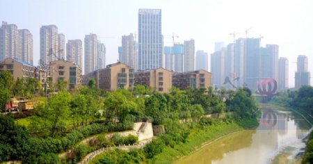 龙王港畔风景