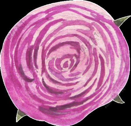 紫色大花透明装饰图案