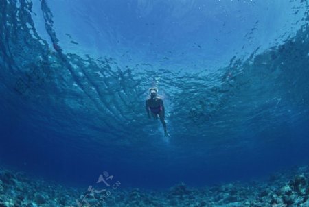 海底潜水海底游玩游泳