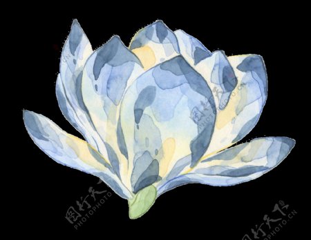 蓝色莲花透明装饰图案