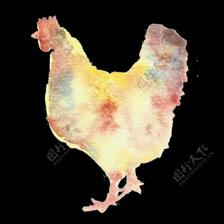 手绘彩色公鸡透明装饰图案