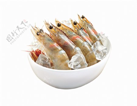一碗冰块虾海鲜食物美味动物素材