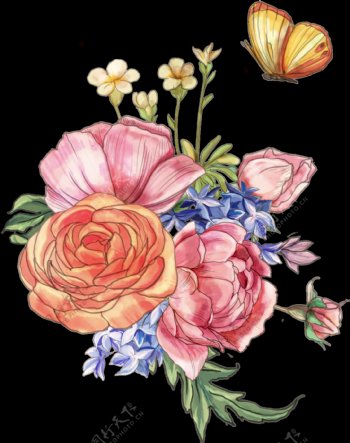 手绘水彩玫瑰花透明装饰图案
