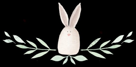 迷人兔子透明装饰图案