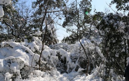 山林雪景