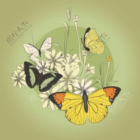 复古蝴蝶和花卉矢量素材