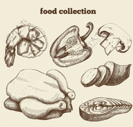 手绘餐厅食品插图