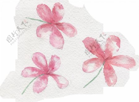 粉色手绘小花朵透明素材