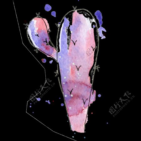 紫色仙人球水彩手绘透明素材