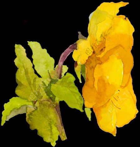 黄色涂鸦花卉透明素材