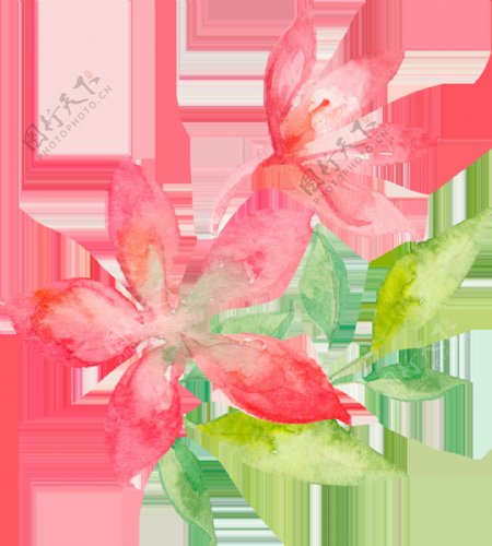 简约水彩花卉透明装饰素材
