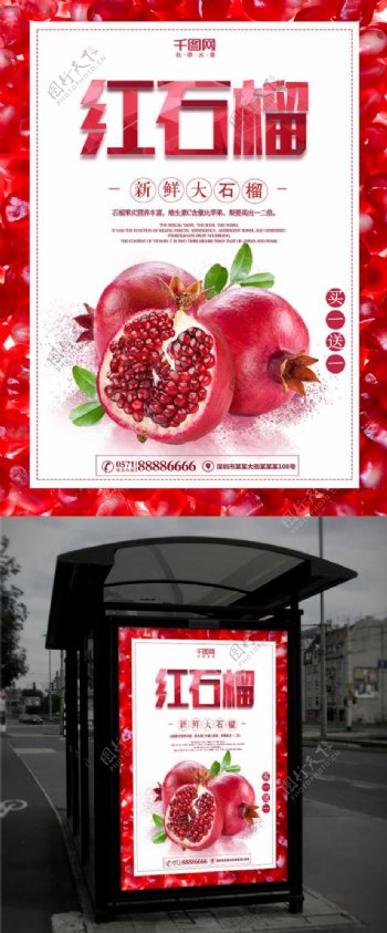 秋季水果石榴海报