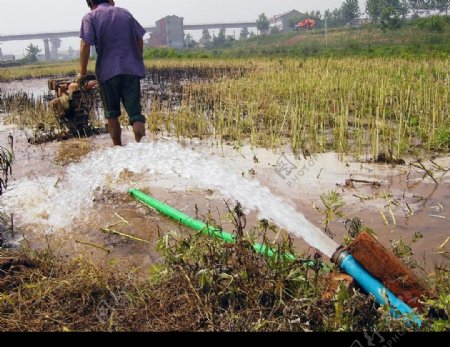 中国将大幅度提高农业灌溉用水效率