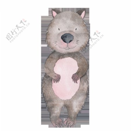 灰色手绘水彩小熊透明动物素材
