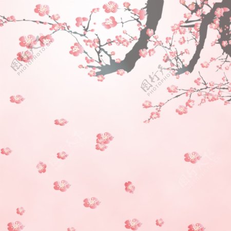 梅花粉色背景