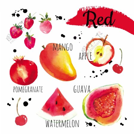 红色水果英文图标
